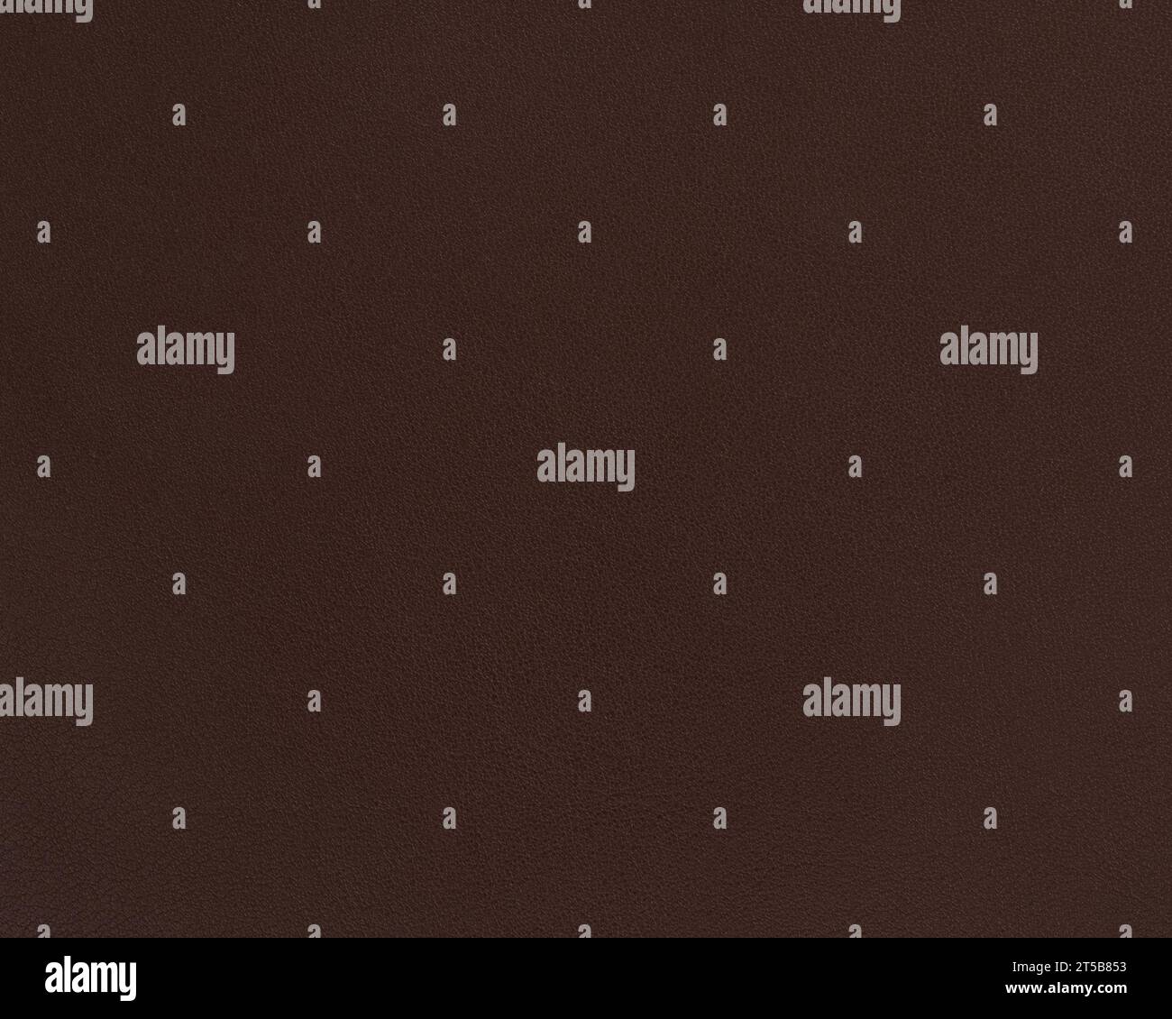 Texture della pelle premium marrone scuro pieno fiore, primo piano Foto Stock Texture della pelle premium marrone scuro pieno fiore, primo piano Foto Stock