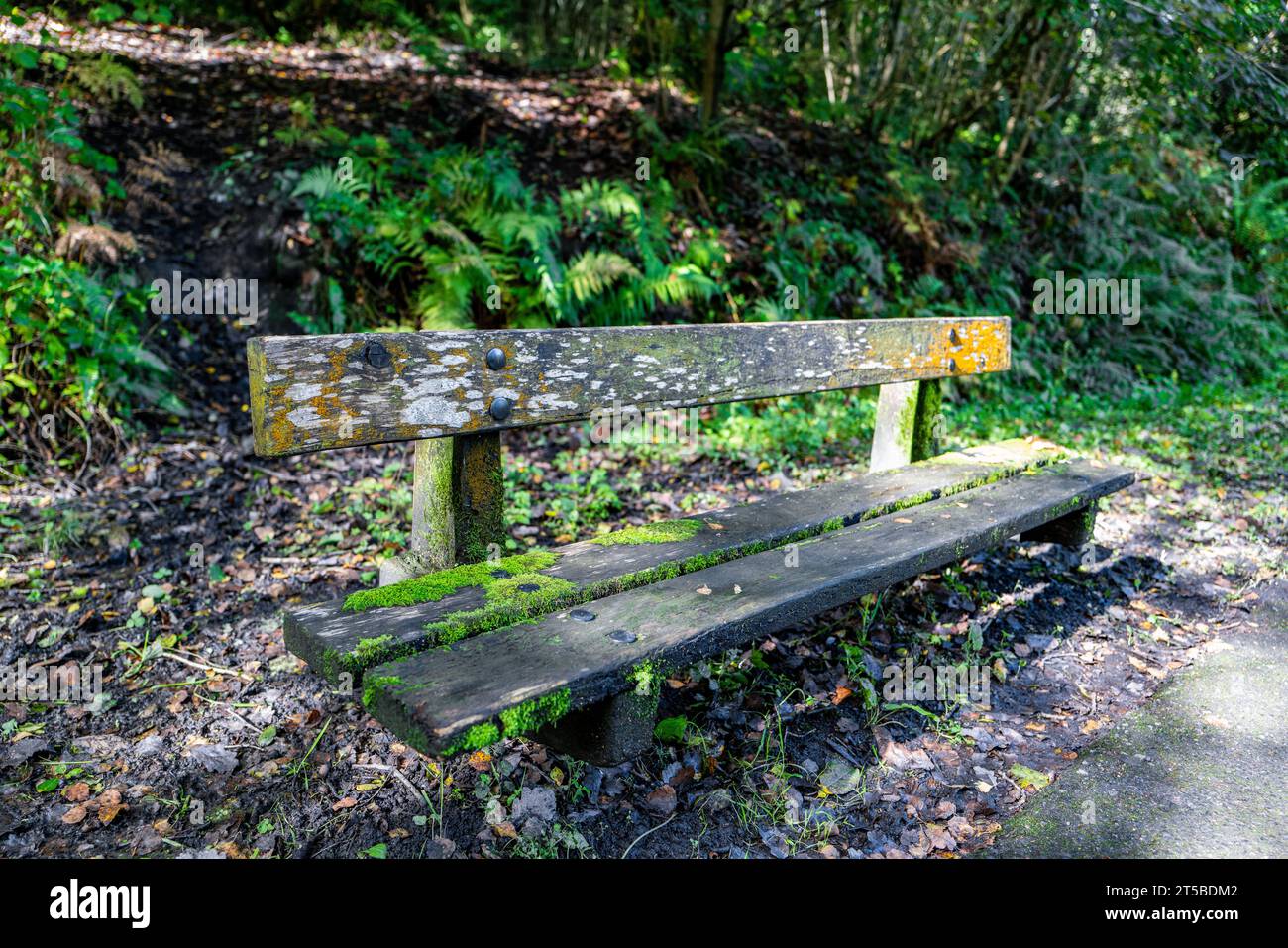 Panchina in legno per camminatori lungo un sentiero a Caerphilly, Galles del Sud, Regno Unito durante il 2023 Foto Stock
