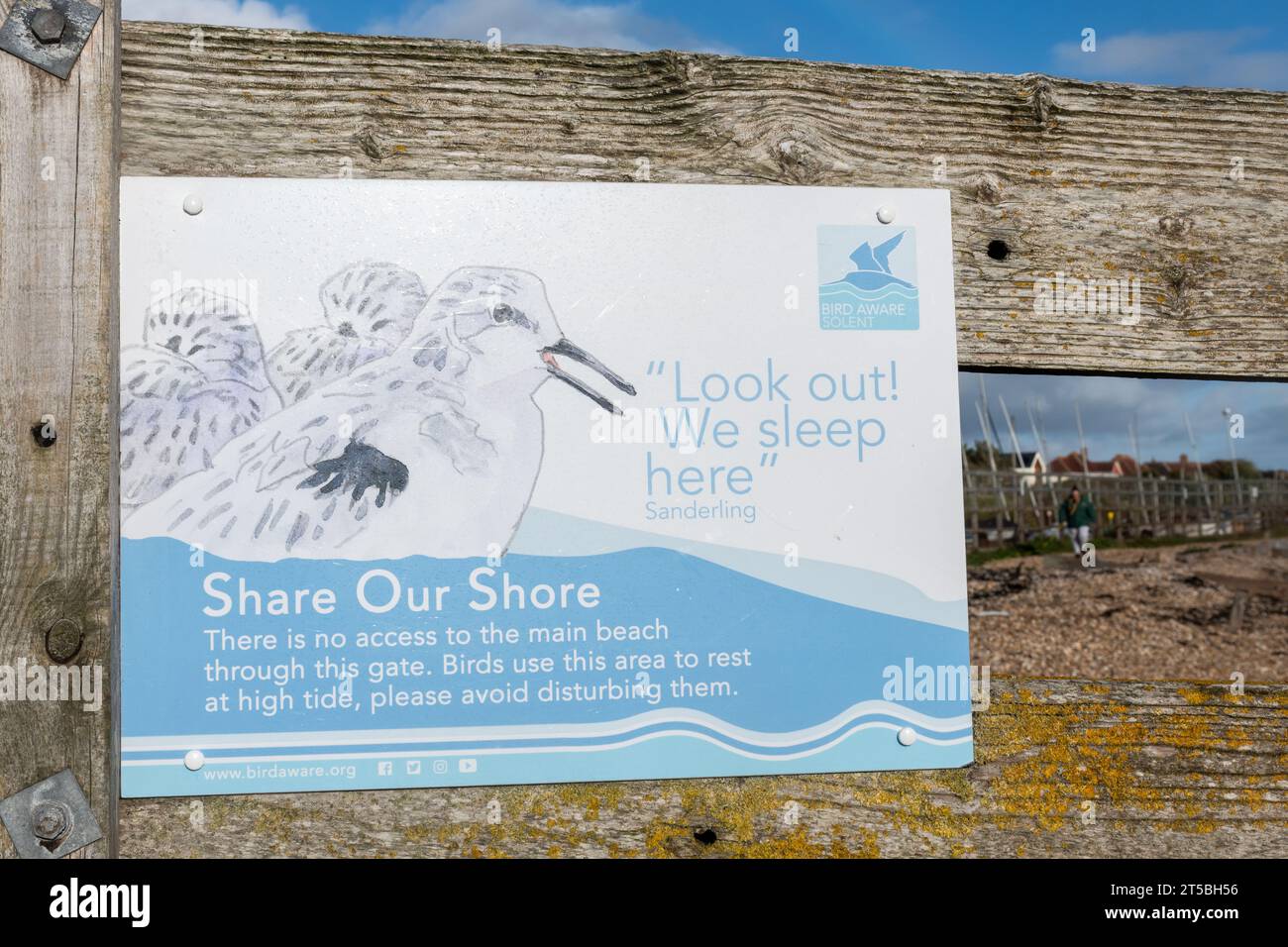 Condividi la nostra insegna Shore su Hill Head Beach, dove le sabbie di uccelli guadi riposano durante l'alta marea, per prevenire disturbi umani, Hampshire, Inghilterra, Regno Unito Foto Stock