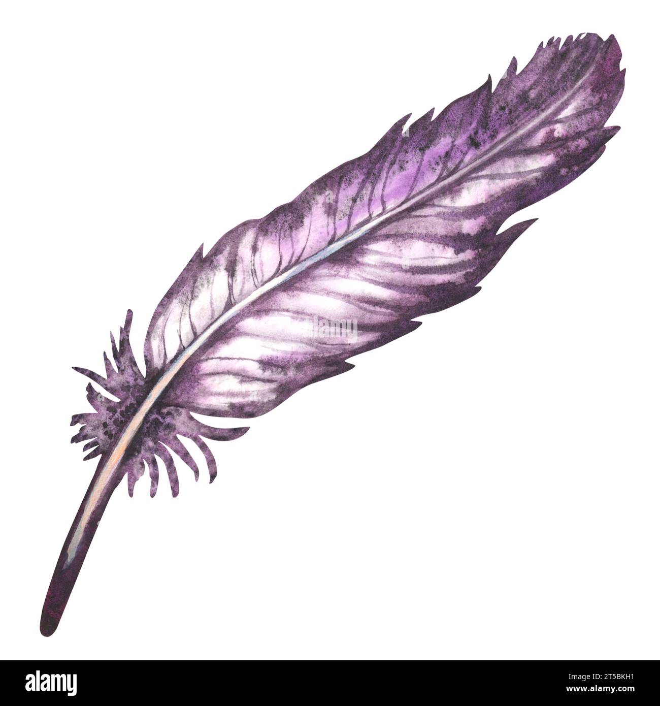 Piuma uccello viola acquerello per elementi di album d'arte, schizzi, design di invito, cornici. Elementi isolati su sfondo bianco Foto Stock