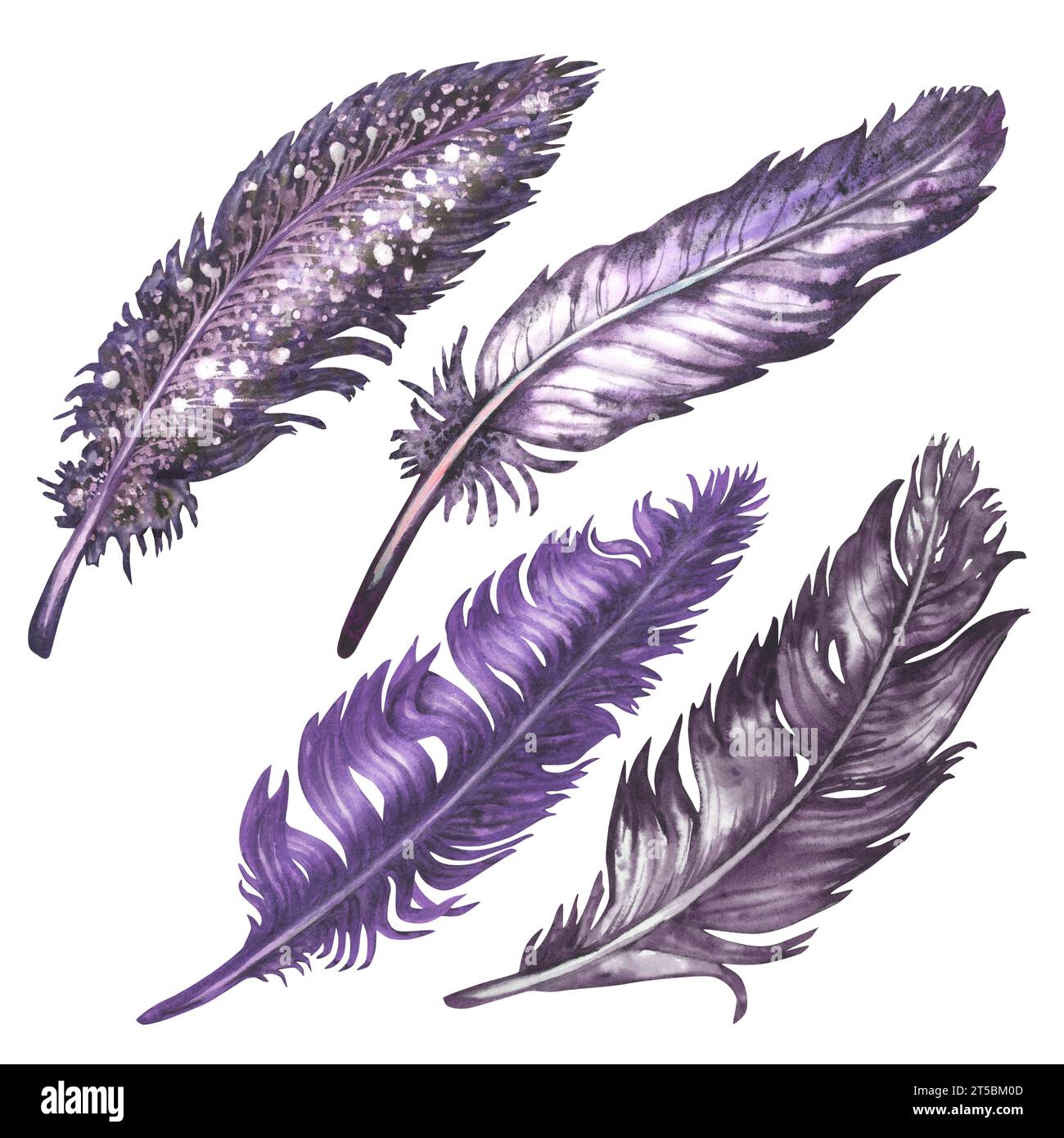 Piume d'uccello ad acquerello per elementi di album artistici, schizzi, design di invito, cornici. Elementi isolati su sfondo bianco Foto Stock