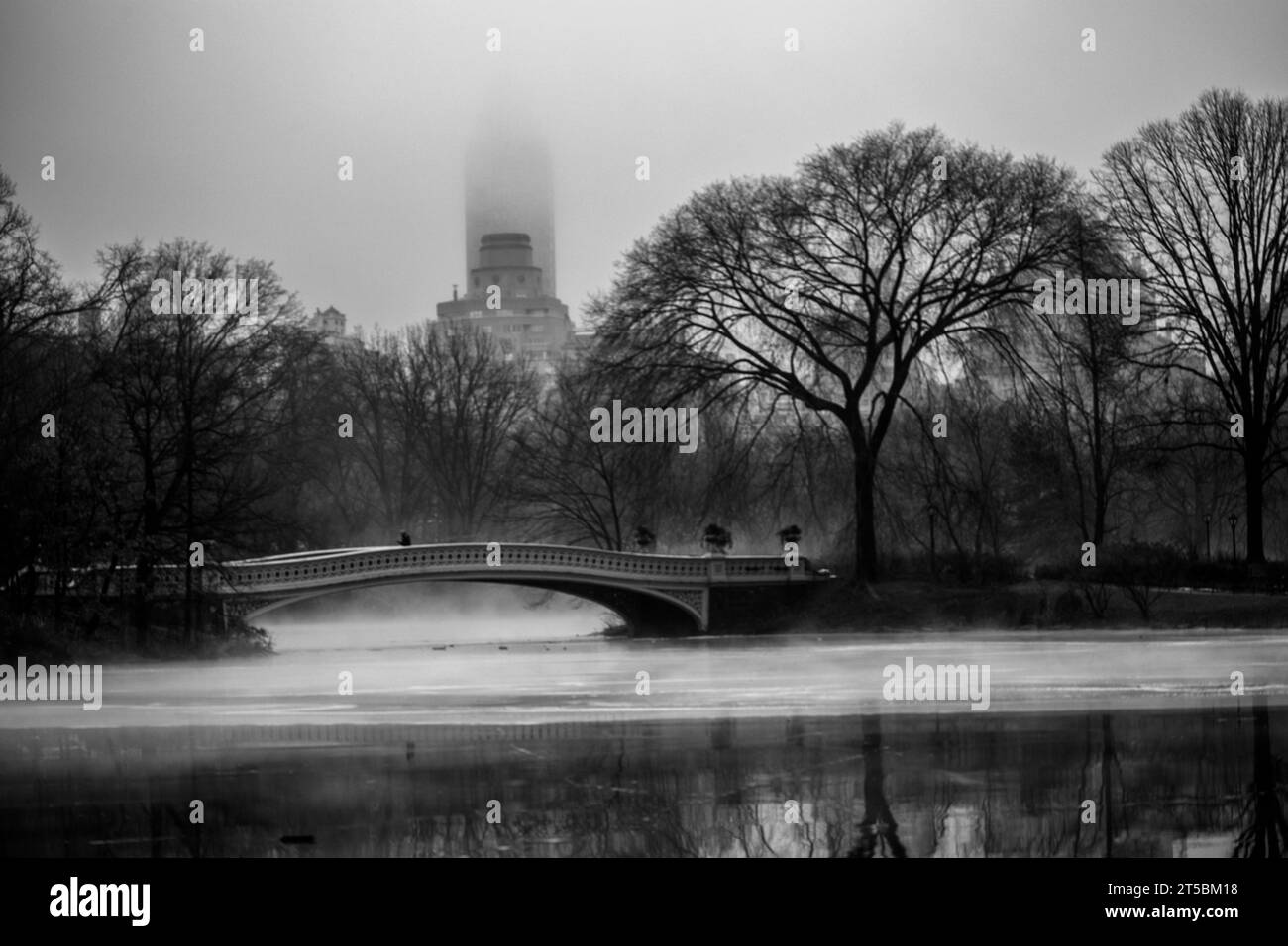 Una foto di alta qualità dell'affascinante Bow Bridge, uno dei monumenti più rappresentativi di Central Park. La foto cattura l'elegante ghisa del ponte Foto Stock