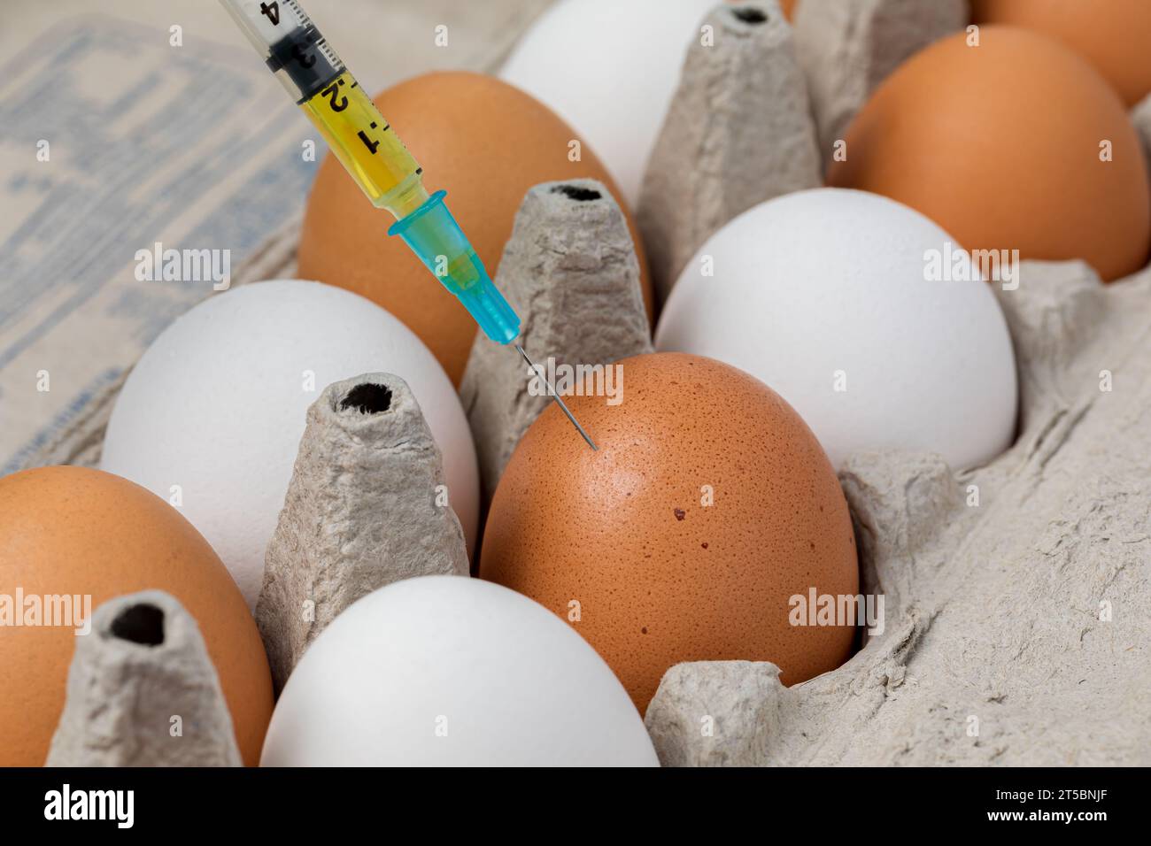 Siringa e uova di pollo. Allevamento avicolo, batteri resistenti agli antibiotici e concetto di sicurezza alimentare. Foto Stock