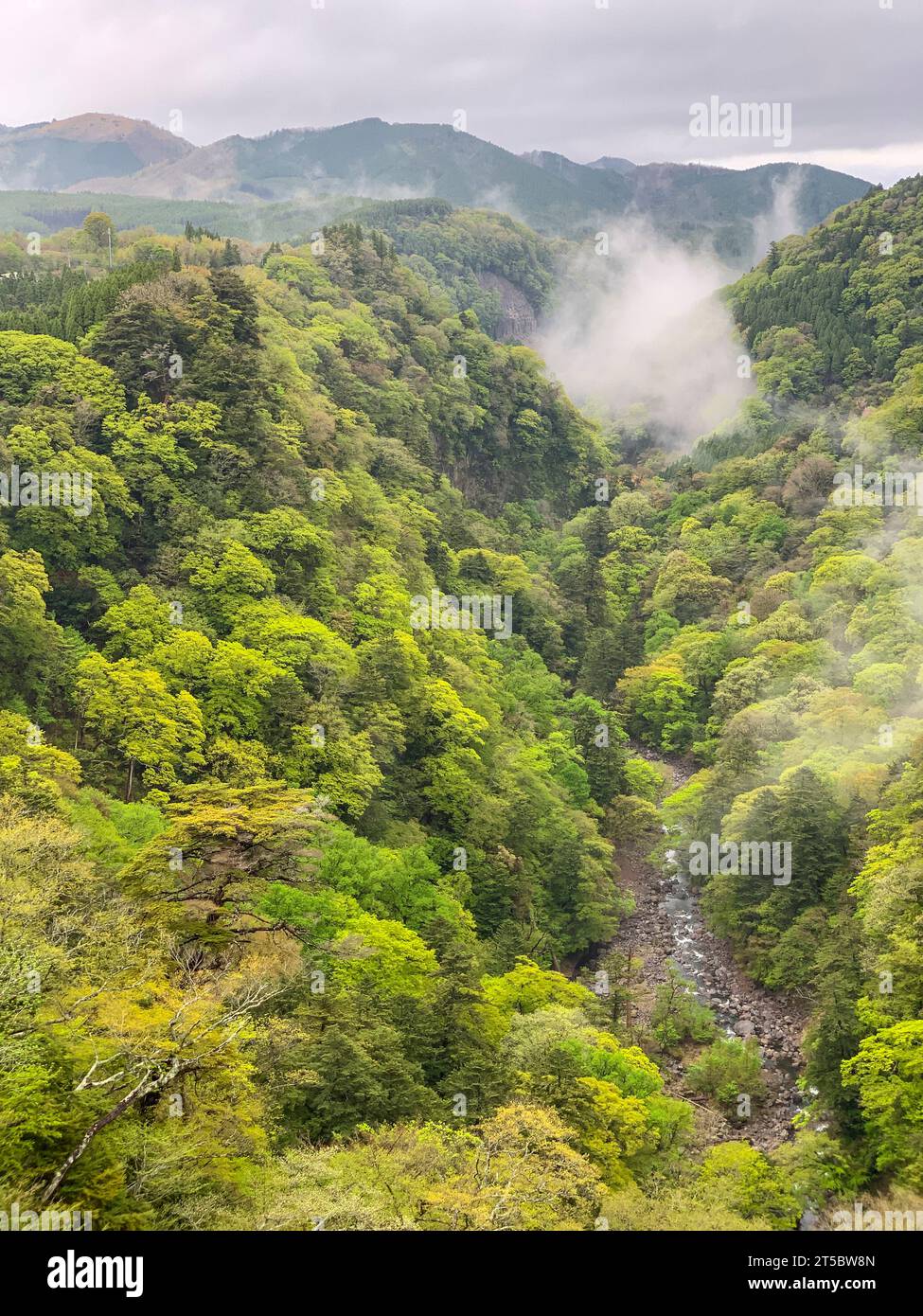 Giappone, Kyushu. Vista panoramica dal ponte sospeso Yume-no-Ohashi, il più grande ponte sospeso pedonale del Giappone. Foto Stock