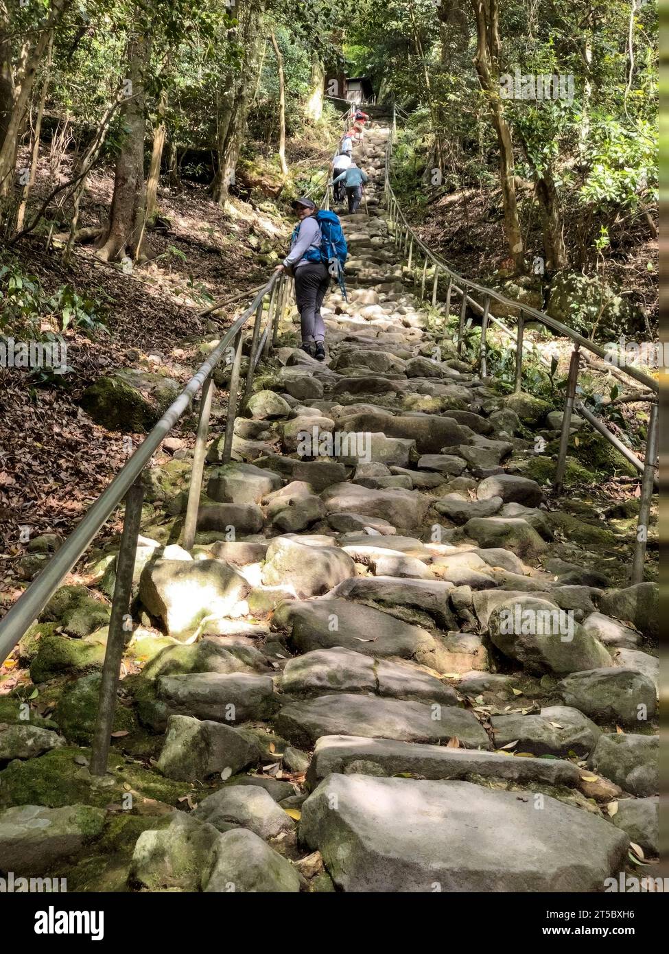 Giappone, Kyushu. Scalando la scalinata del Diavolo a Kumano Magaibutsu, sculture buddiste di rilievo risalenti all'VIII secolo. Penisola di Kunisaki. Foto Stock