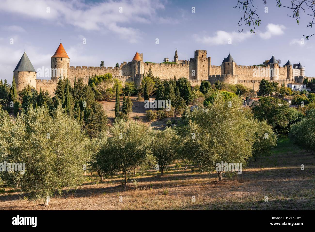 Carcassonne. Città fortificata nel dipartimento di Aude, regione Occitania, Francia. Panorama della Cité, la famosa città vecchia medievale. Foto Stock