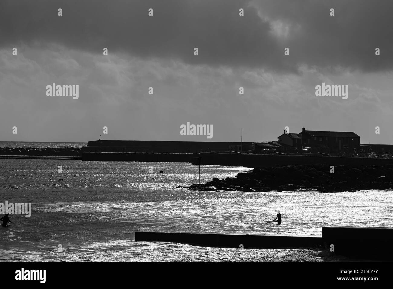 Lyme Regis Peral del Dorset Jurassic Coast Dorset Foto Stock