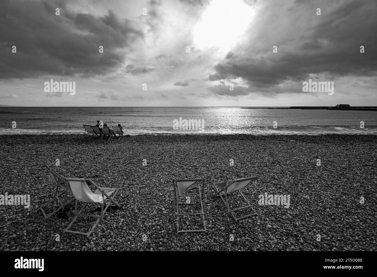 Lyme Regis Peral del Dorset Jurassic Coast Dorset Foto Stock