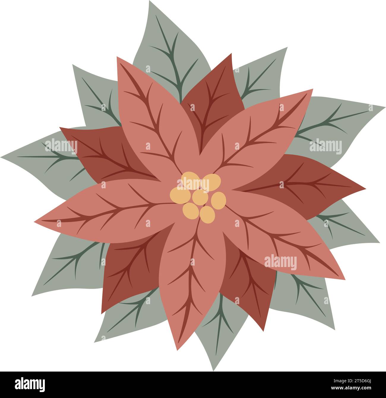 Stella di Natale fiore rosso poinsettia. Simbolo delle vacanze invernali. Perfetto per il design di biglietti d'auguri di Natale o Capodanno. Illustrazione vettoriale Illustrazione Vettoriale