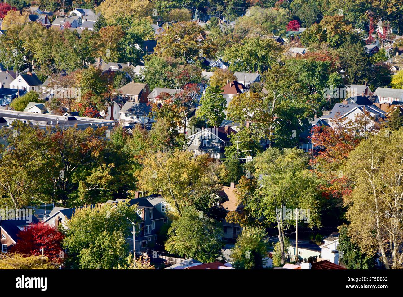 Colori autunnali a ottobre 2023 nella periferia di Lakewood, Ohio Foto Stock