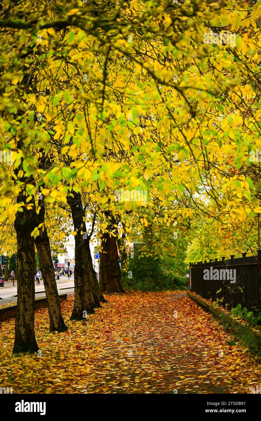 Whitworth Park Manchester Foto Stock