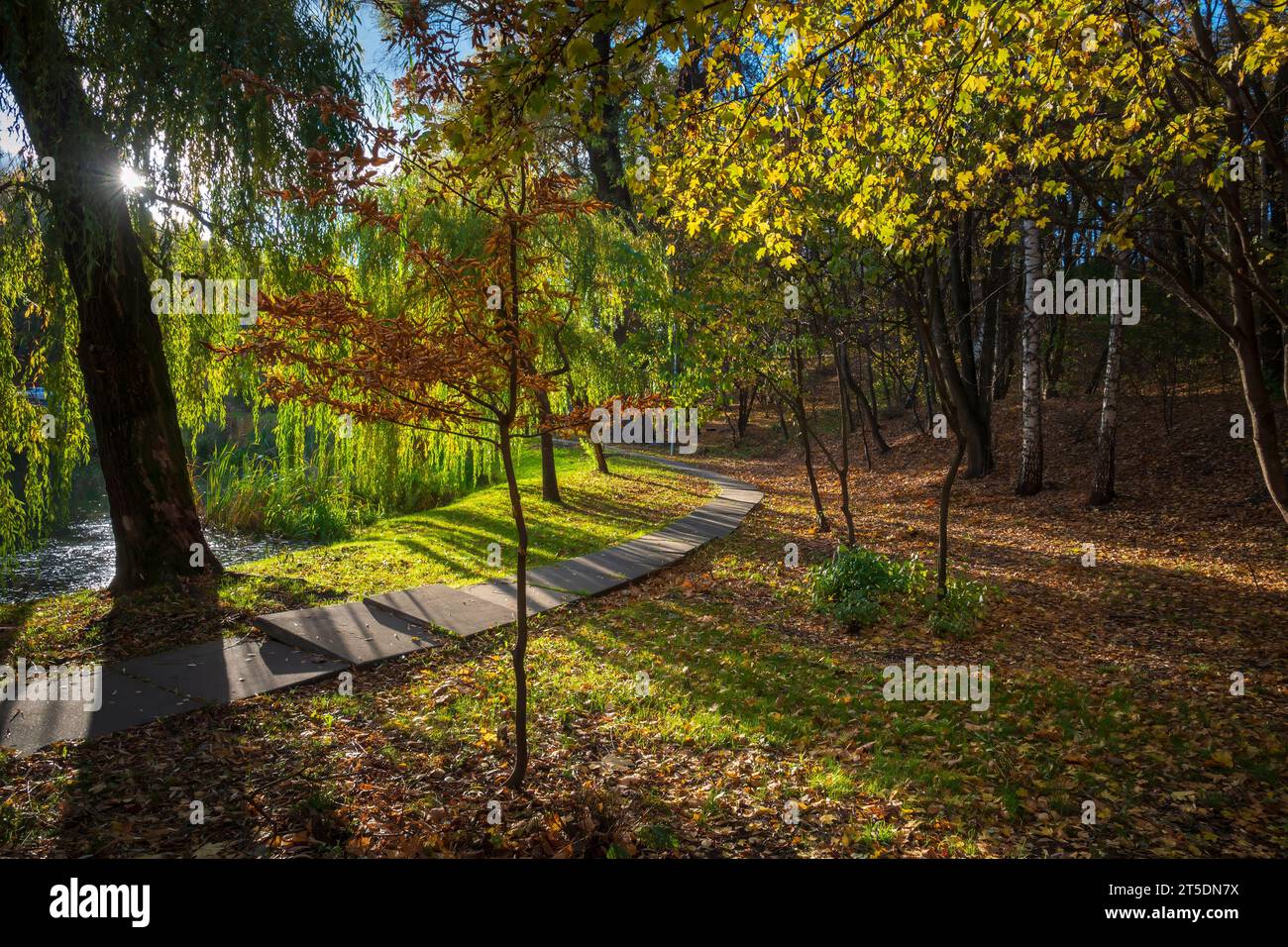 Soleggiato parco cittadino con sentiero tortuoso e sole che splende attraverso i rami degli alberi. Foto Stock