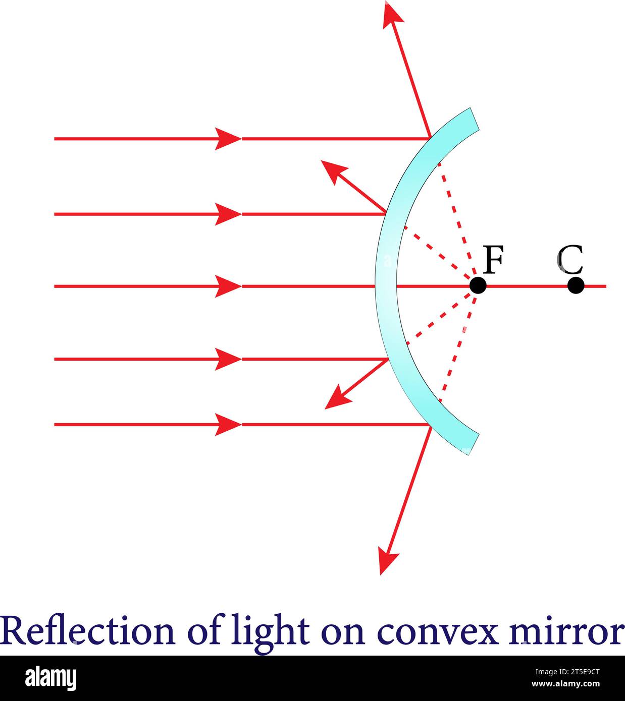 Il riflesso da specchi convessi e concavi, riflessi e specchi sferici, ottiche.illustrazione vettoriale. Illustrazione Vettoriale