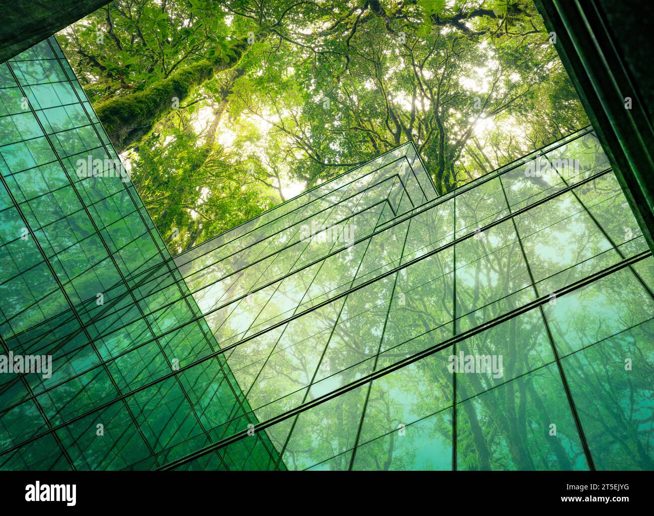Edificio ecologico nella città moderna. Edificio in vetro sostenibile con albero per la riduzione del calore e del biossido di carbonio. Edificio di uffici con verde Foto Stock