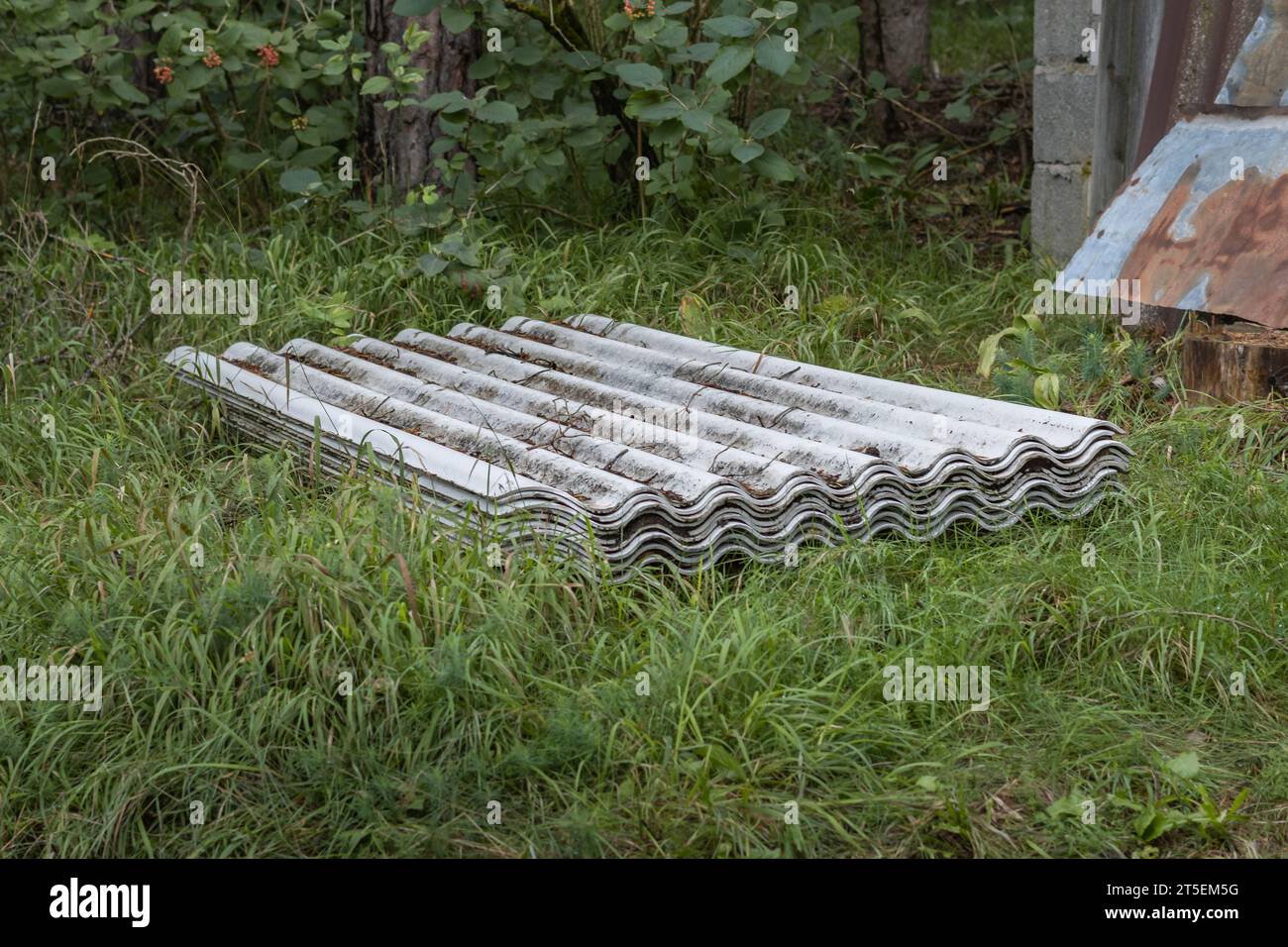 Tegole di amianto immerse nella natura. Smaltimento di materiali edili pericolosi nell'ambiente. Rifiuti tossici derivanti dalla ristrutturazione di un edificio. Foto Stock