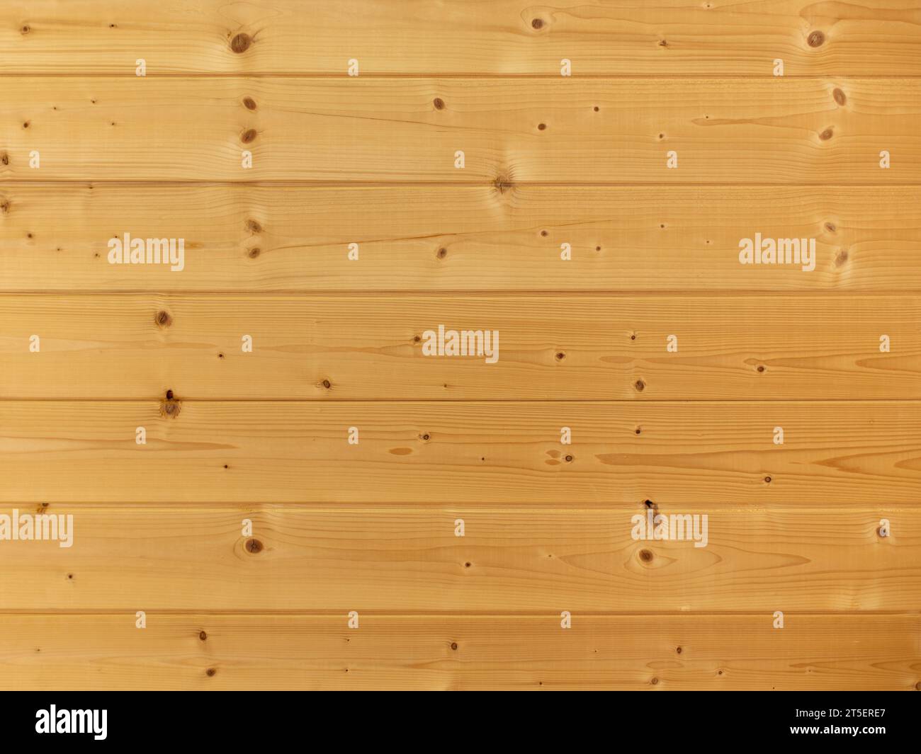 Struttura di fondo in legno di conifere. Schema delle tavole di legno su una parete interna. Woodgrain da un abete rosso. Foto Stock