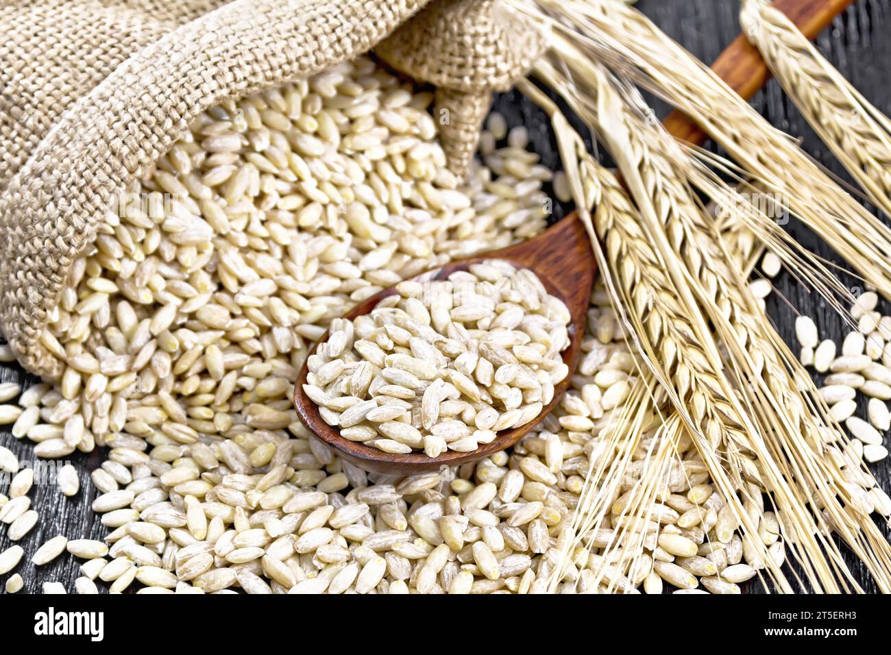Scritto in un cucchiaio, in un sacco di rapa e sul tavolo, gambi con orecchie di grano sullo sfondo di una tavola di legno nero Foto Stock