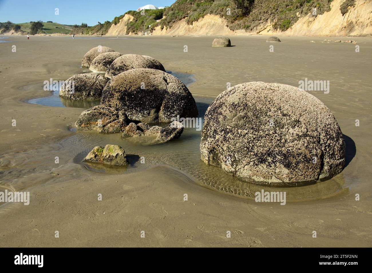 Mezzo sepolto Moeraki Boulders a Hampden Beach sulla costa orientale dell'Isola del Sud della nuova Zelanda. Foto Stock