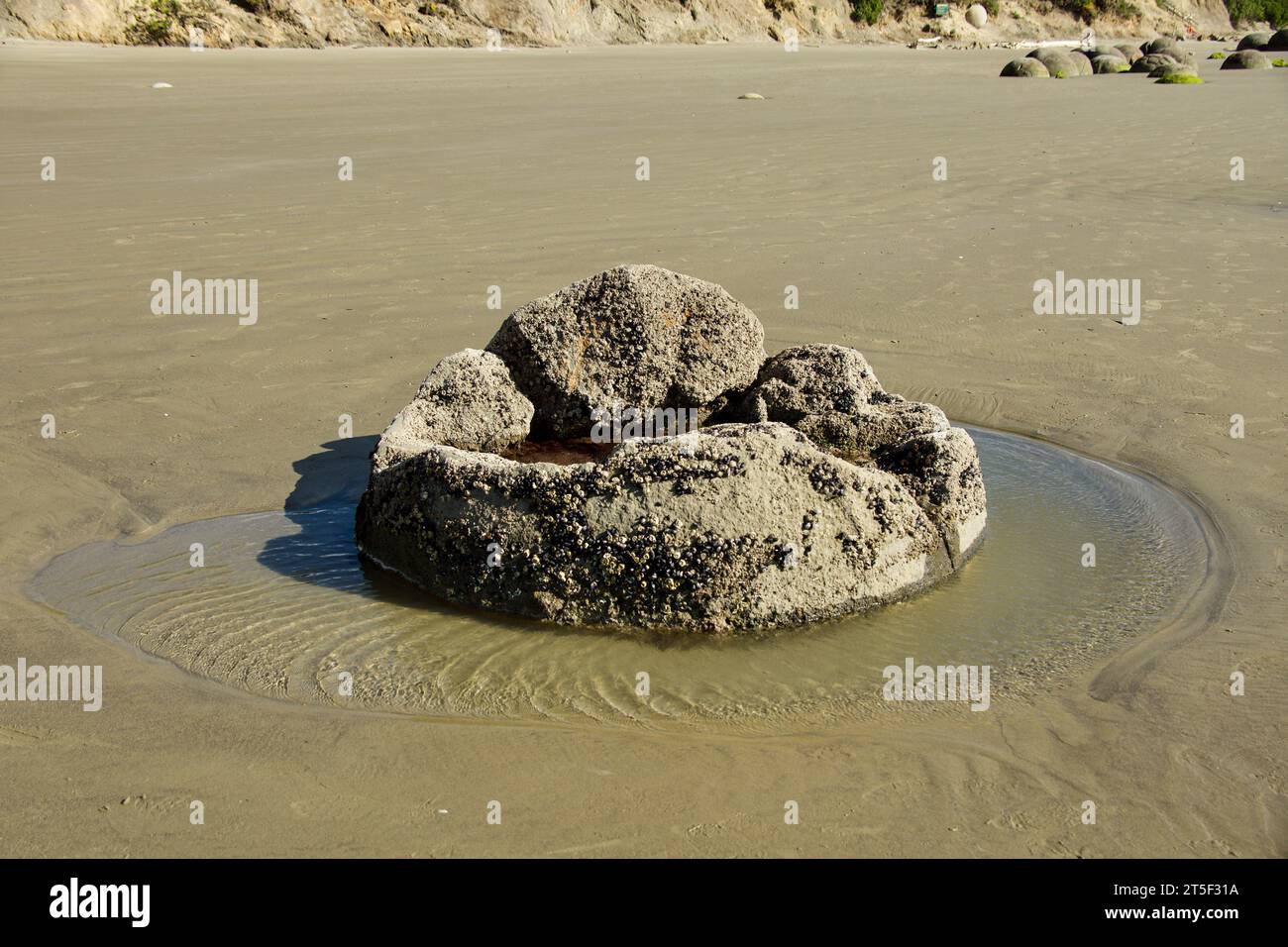 Moeraki Boulders sulla spiaggia di Koekohe (Hampden) Otago, nuova Zelanda Foto Stock