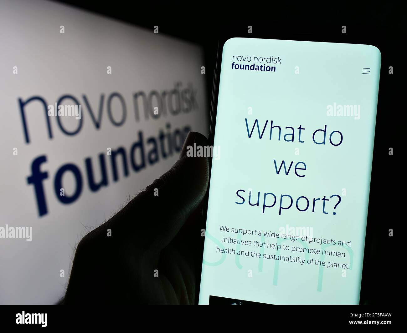 Persona in possesso di cellulare con pagina Web dell'organizzazione danese Novo Nordisk Foundation davanti al logo. Concentrarsi sul centro del display del telefono. Foto Stock