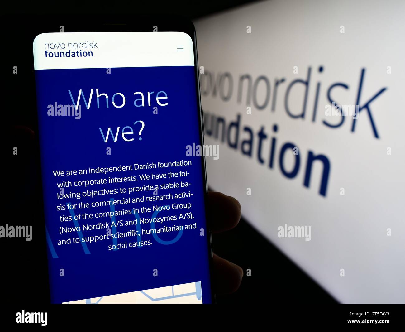 Persona che possiede uno smartphone con una pagina Web dell'organizzazione danese Novo Nordisk Foundation davanti al logo. Concentrarsi sul centro del display del telefono. Foto Stock