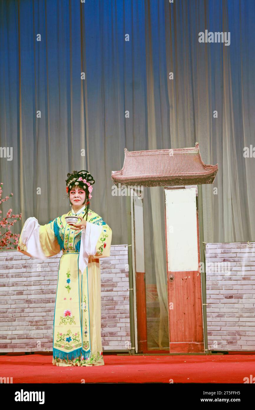 CONTEA DI LUANNAN - NOVEMBRE 25: L'antico costume PingJu ' Face Pach Blossom' ancora nel grande teatro ChengZhaoCai, il 28 novembre 2013, luannan Foto Stock