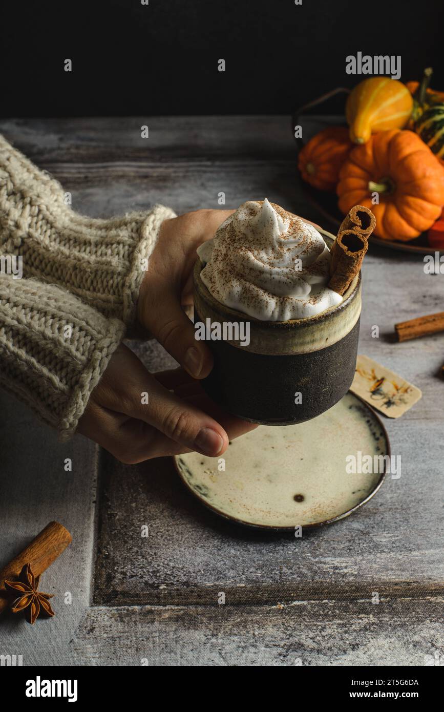latte di zucca con cannella e zucche. Foto di alta qualità Foto Stock