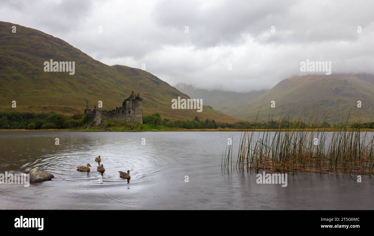 Castello di Kilchurn con anatre in primo piano su Loch Awe, Dalmally, Scozia, Regno Unito Foto Stock
