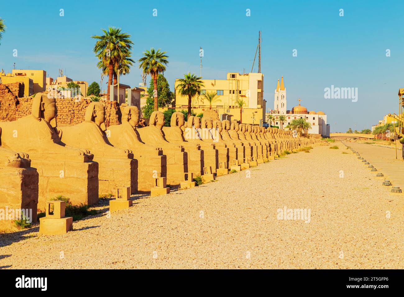Vicolo delle Sfingi vicino al Tempio di Luxor. Luxor, Egitto – 21 ottobre 2023 Foto Stock