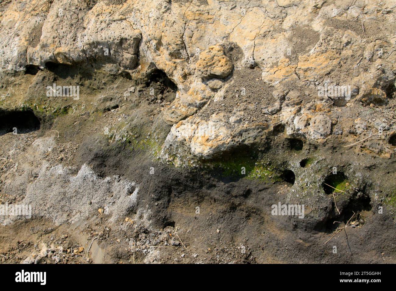 struttura geologica della superficie terrestre, primo piano della foto Foto Stock
