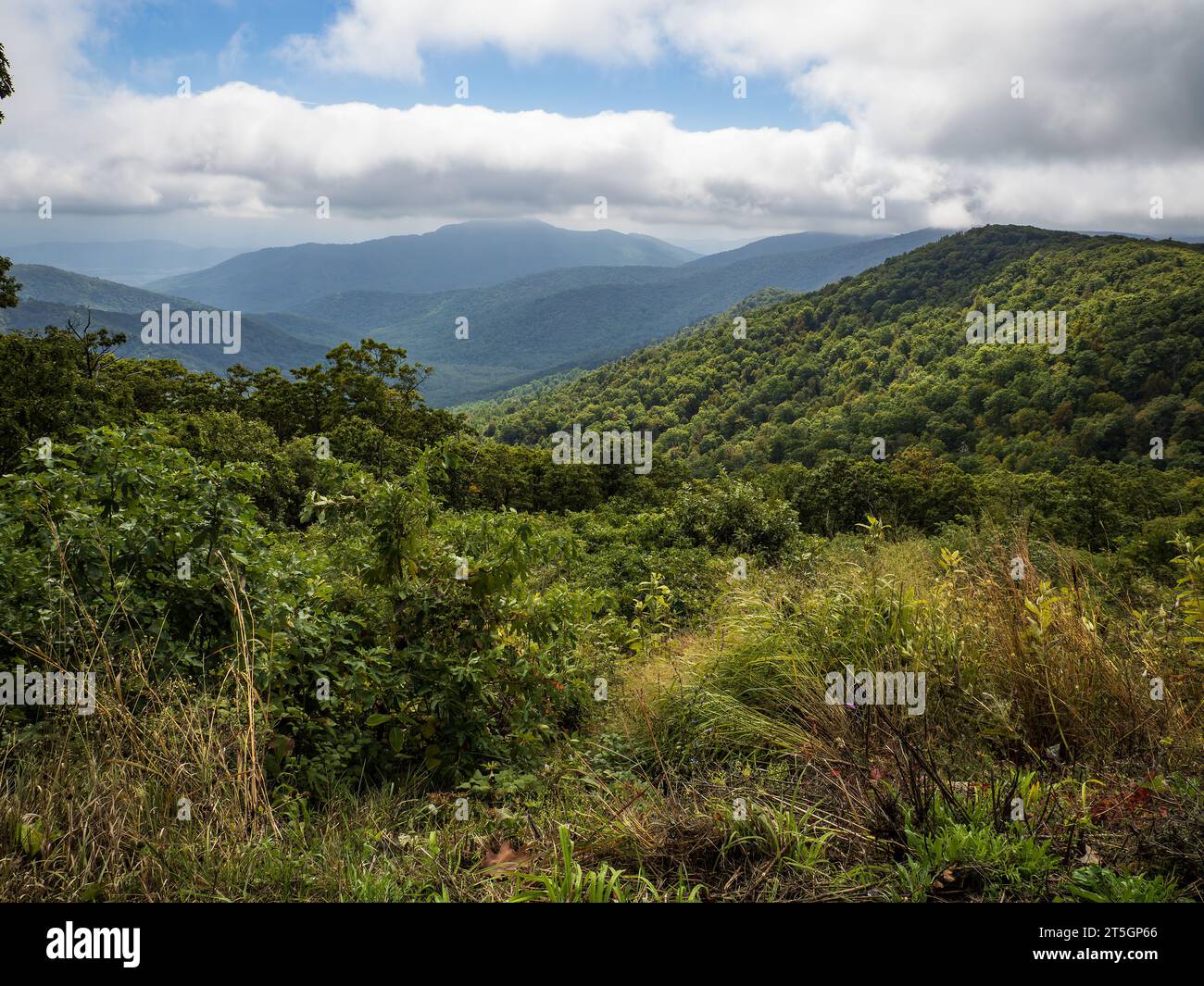 Una giornata nuvolosa nella Shenandoah Valley, Virginia Foto Stock