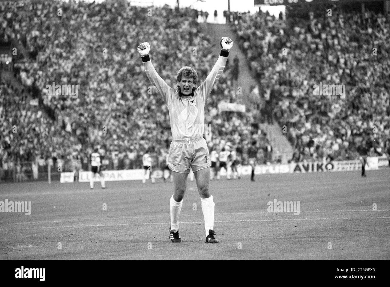 Eike Immel Ex-Fußballtorwart 06/88 hör Eikel Immel nach dem 1:0 durch Rudi Völler beim Vorrundenspiel der Deutschen Nationalmannschaft gegen Spanien während der Fußball-Europameisterschaft in Deutschland im Müngersdorfer Stadion in Köln am 17. Juni 1988 Deutschland deutsch deutscher Mann Sport Fußball Sportler Fußballer Fußballspieler Torwart Nationalspieler ehemalig ehemaliger UEFA tedesco ex portiere quer ganz Stehend freistellbar jubelnd Arme hochreißend hochgerissen schreiend Zuschauer sw *** Eike Immel Ex portiere di calcio 06 88 hör Eikel Immel dopo il 1 0 di Rudi Völler dur Foto Stock