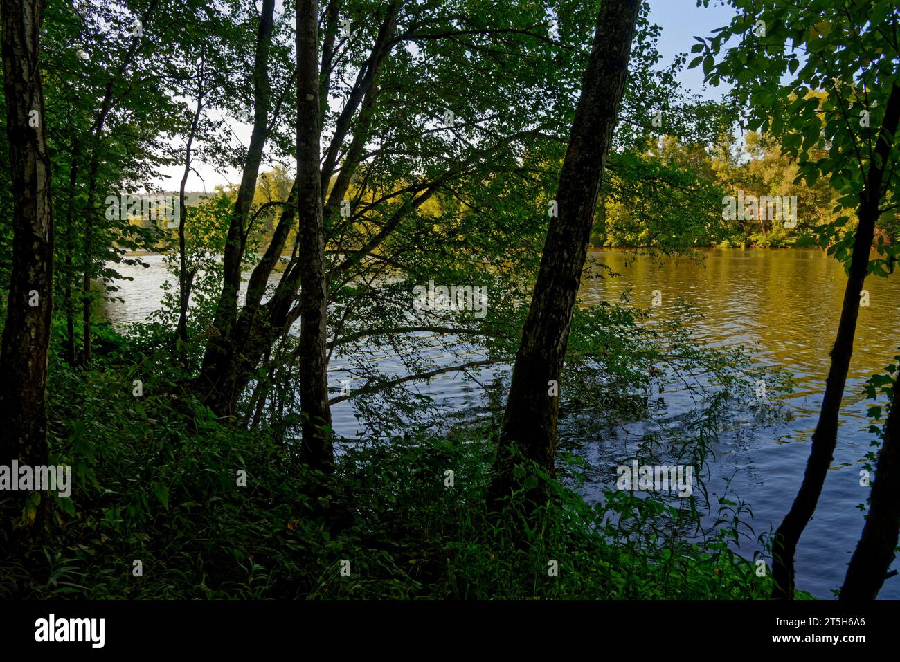 les bords du Lot Occitanie Francia Foto Stock