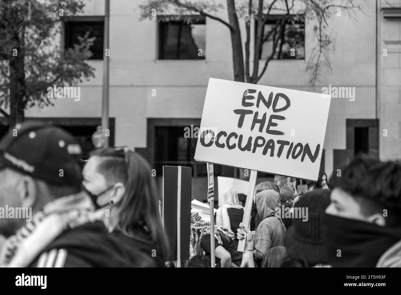 Washington, DC - 11-4-2023: I segnali pro-Palestina alla marcia della Palestina Foto Stock