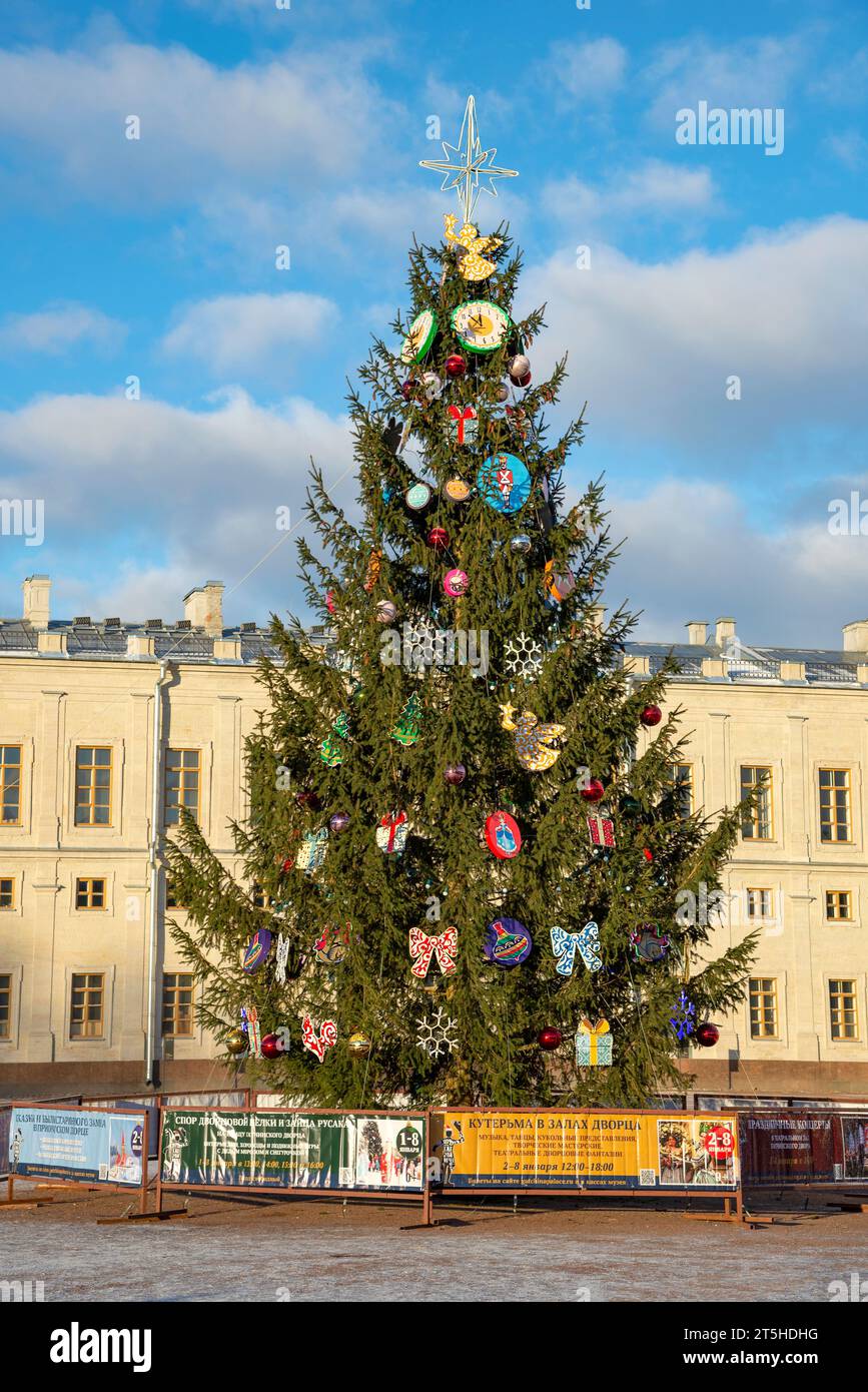 GATCHINA, RUSSIA - 25 DICEMBRE 2022: Primo piano sull'albero di Natale. Gatchina, Russia Foto Stock