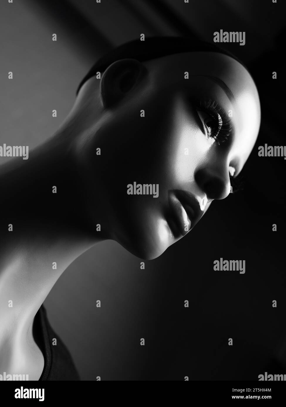 Ritratto in bianco e nero di un manichino femminile Foto Stock