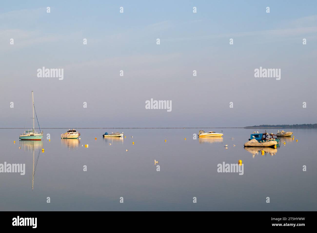 Salzhaff Ostseeküste Boote auf dem Wasser Foto Stock