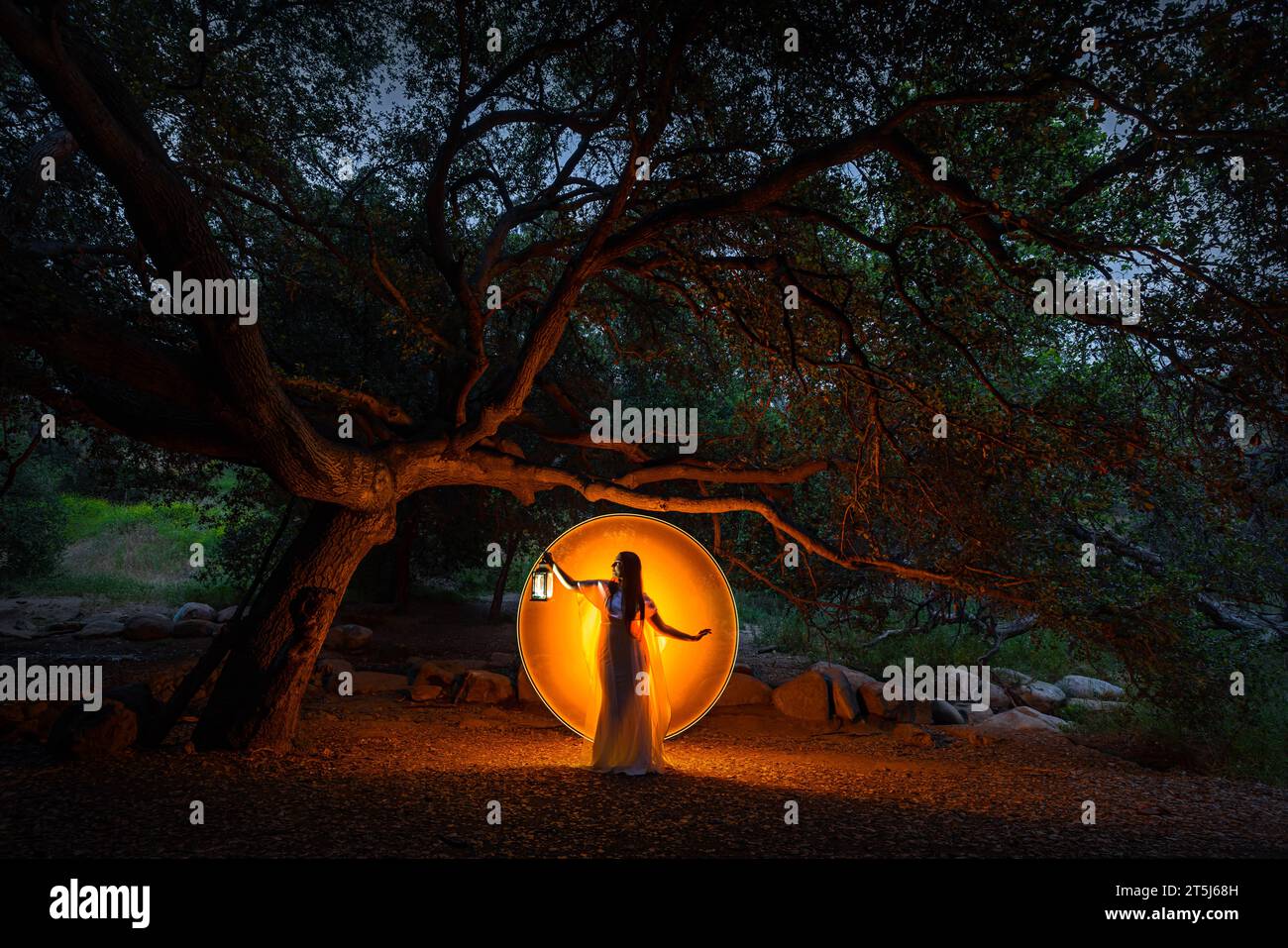 Adorabile donna in posa in un'atmosfera da foresta con colorata pittura a luce a lunga esposizione Foto Stock