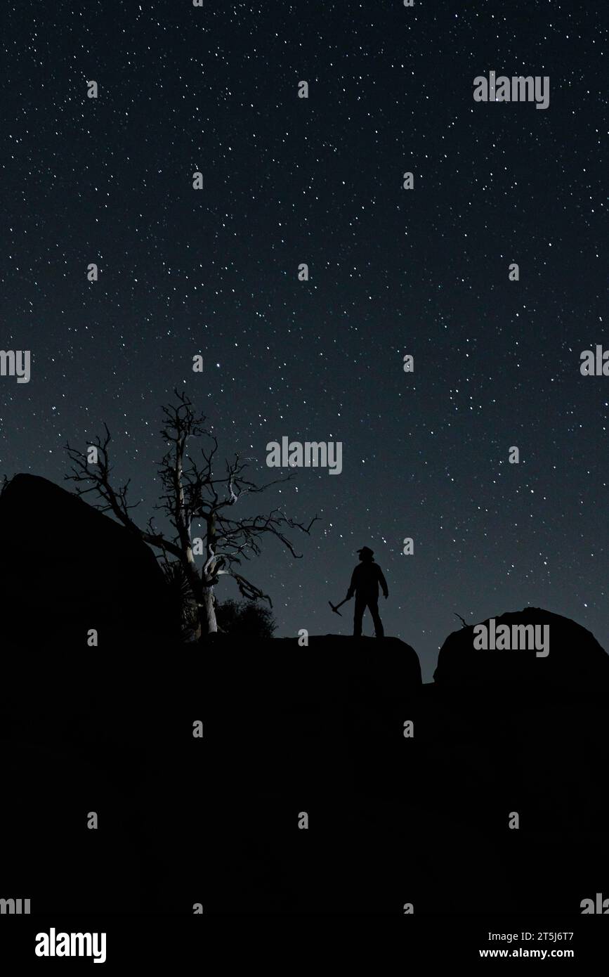 Silhouette Night Sky immagine di un minatore d'oro con un albero Foto Stock