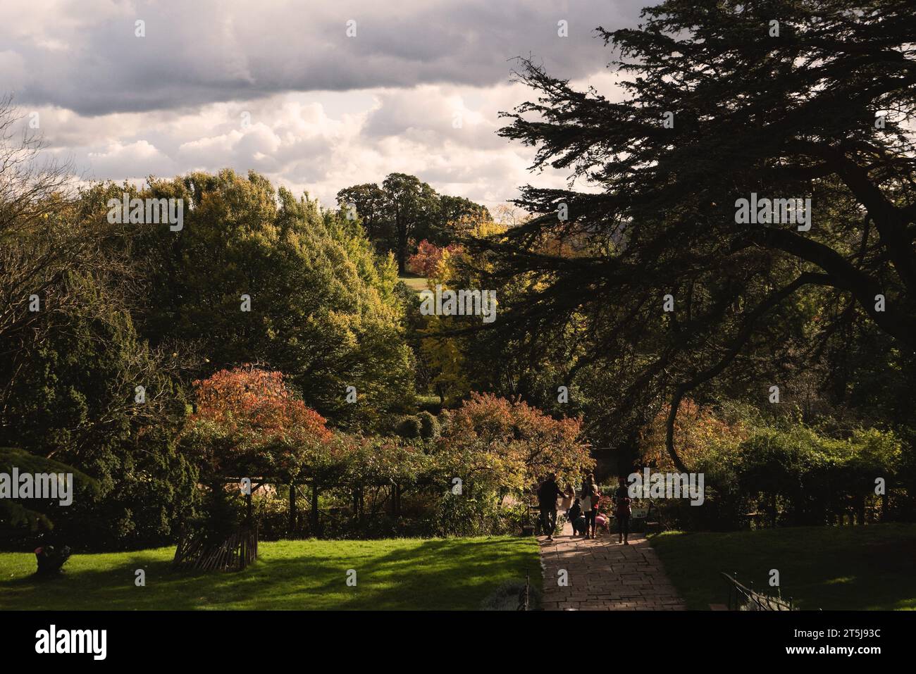 Londra, Regno Unito. 5 novembre 2023. Rookery Gardens a Streatham Common South, Londra, Inghilterra. Credito: Notizie SMP / notizie Alamy Live Foto Stock