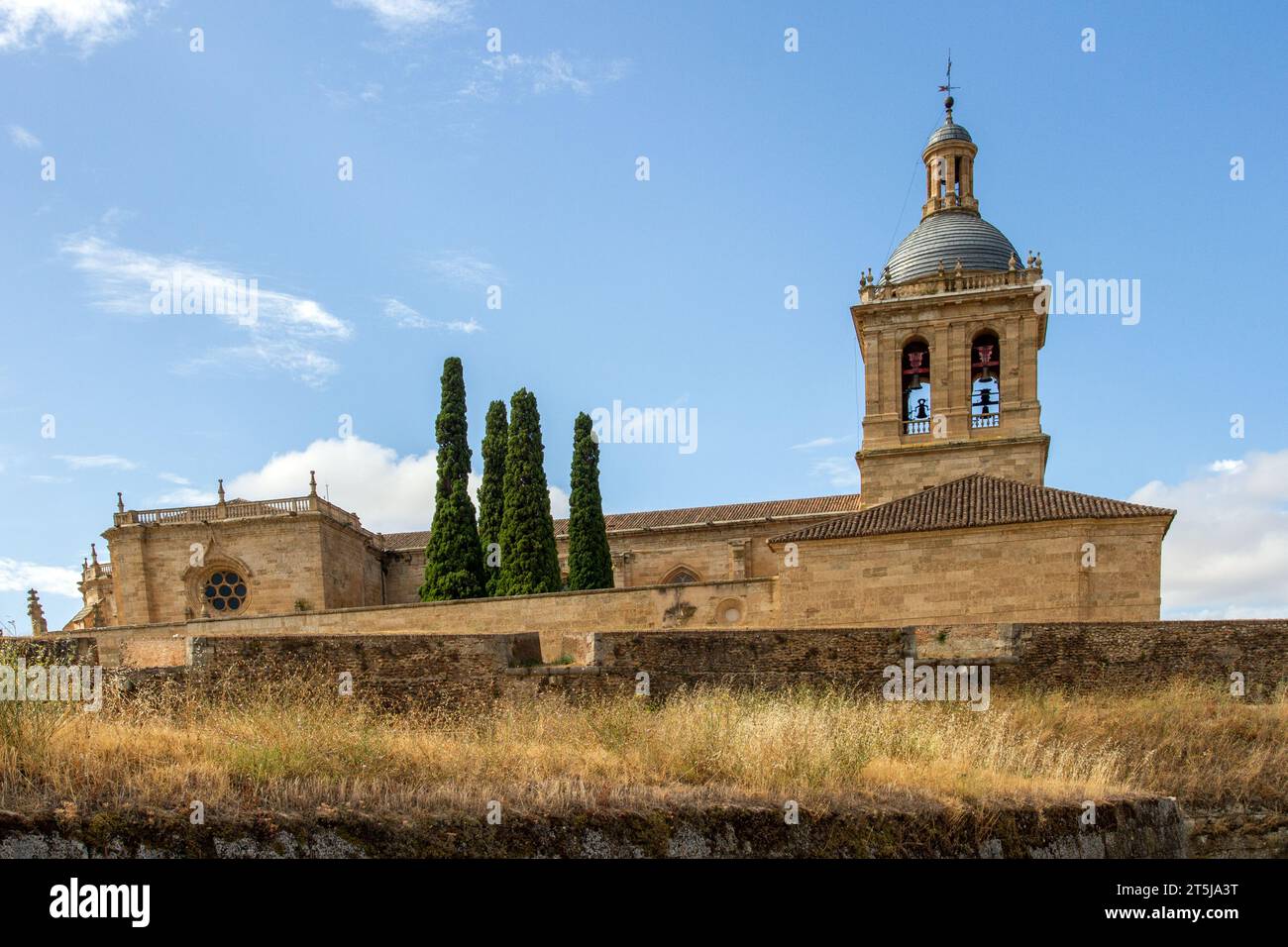 La storica cattedrale medievale di Santa María nella città spagnola di Ciudad Rodrigo, Spagna nord-occidentale Foto Stock