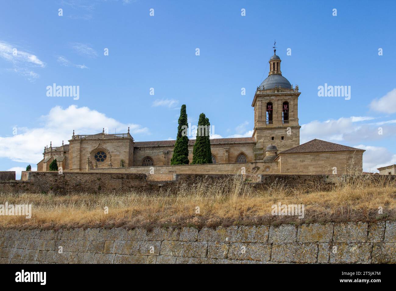 La storica cattedrale medievale di Santa María nella città spagnola di Ciudad Rodrigo, Spagna nord-occidentale Foto Stock
