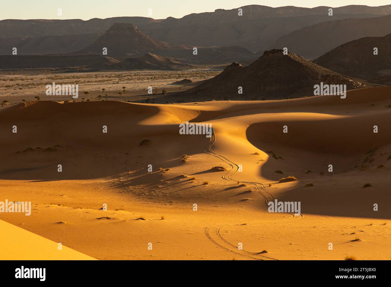 Sahara dune di sabbia Foto Stock