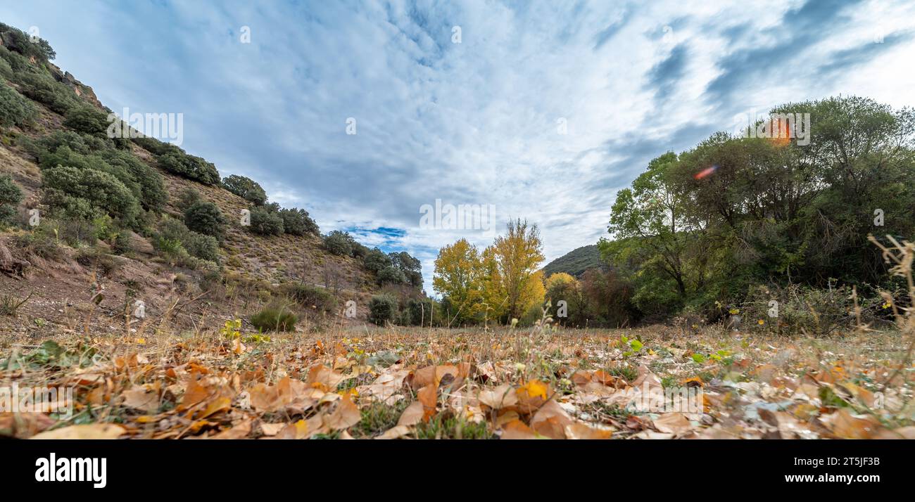 Vista panoramica da terra di un paesaggio autunnale in un parco naturale di Granada (Spagna) Foto Stock