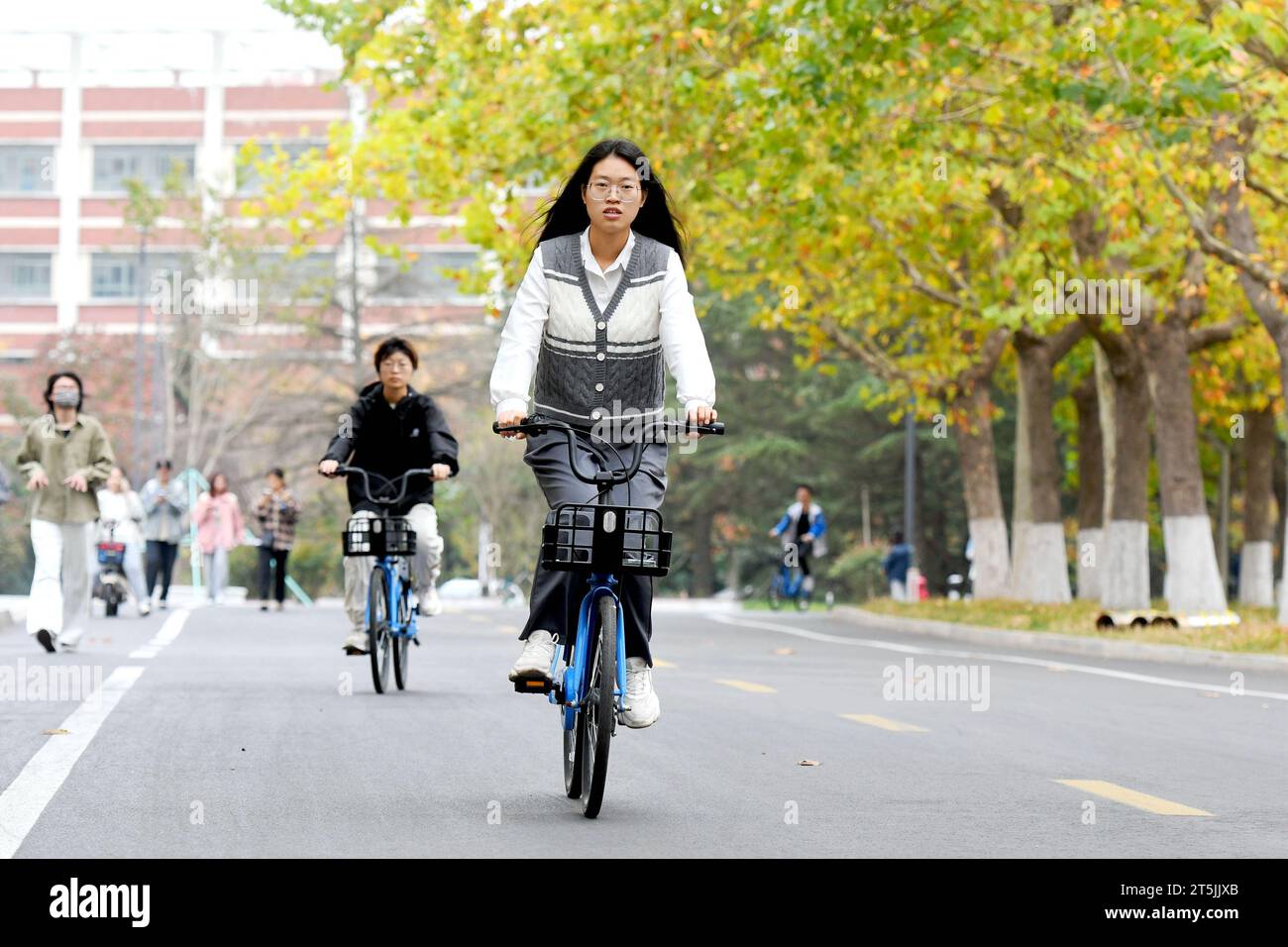 QINGDAO, CINA - 4 NOVEMBRE 2023 - gli studenti universitari cavalcano e camminano su Wutong Avenue presso la Shandong University of Science and Technology nella West Coast Foto Stock