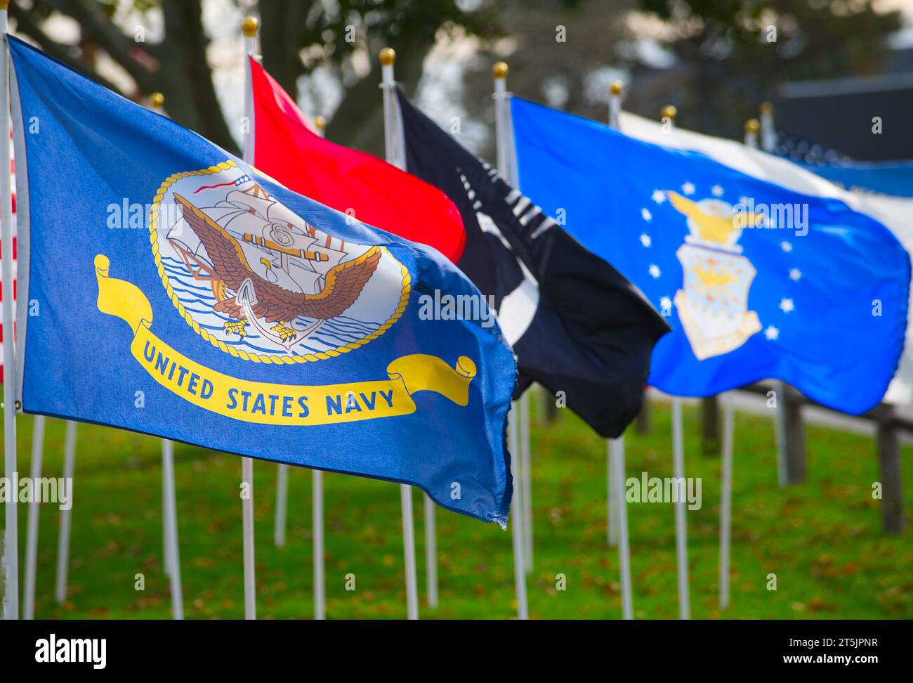 Bandiere che rappresentano le varie forze armate statunitensi che volano a Dennis, Massachusetts, a Cape Cod. Per il Veteran's Day. Foto Stock
