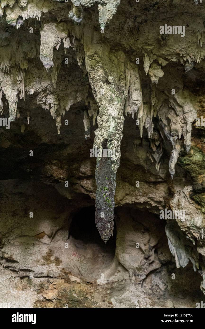 Splendida vista del Parco Nazionale dei 3 occhi a Santo Domingo, Repubblica Dominicana, laguna subacquea, grotte, giardini Foto Stock