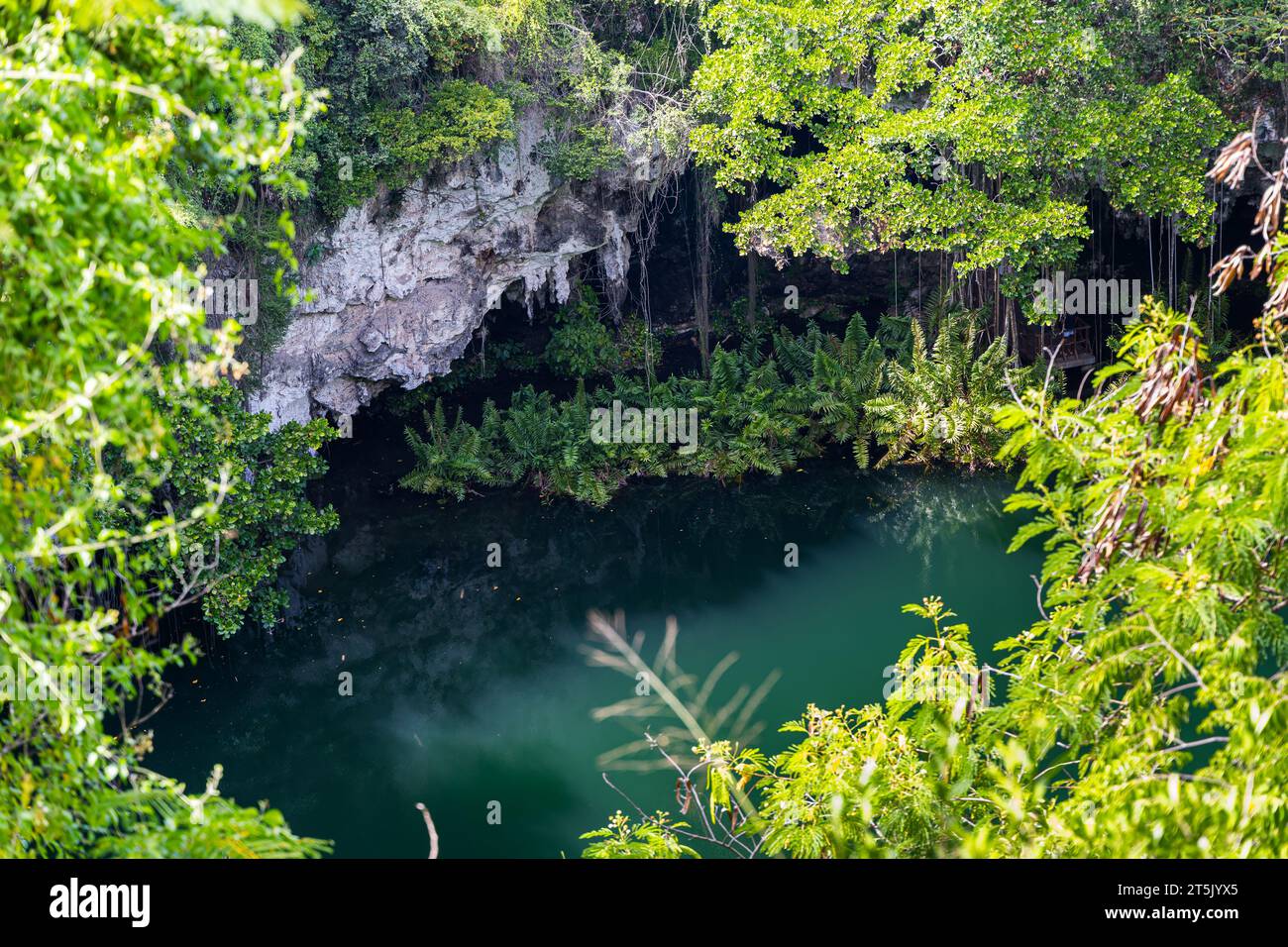 Splendida vista del Parco Nazionale dei 3 occhi a Santo Domingo, Repubblica Dominicana, laguna subacquea, grotte, giardini Foto Stock