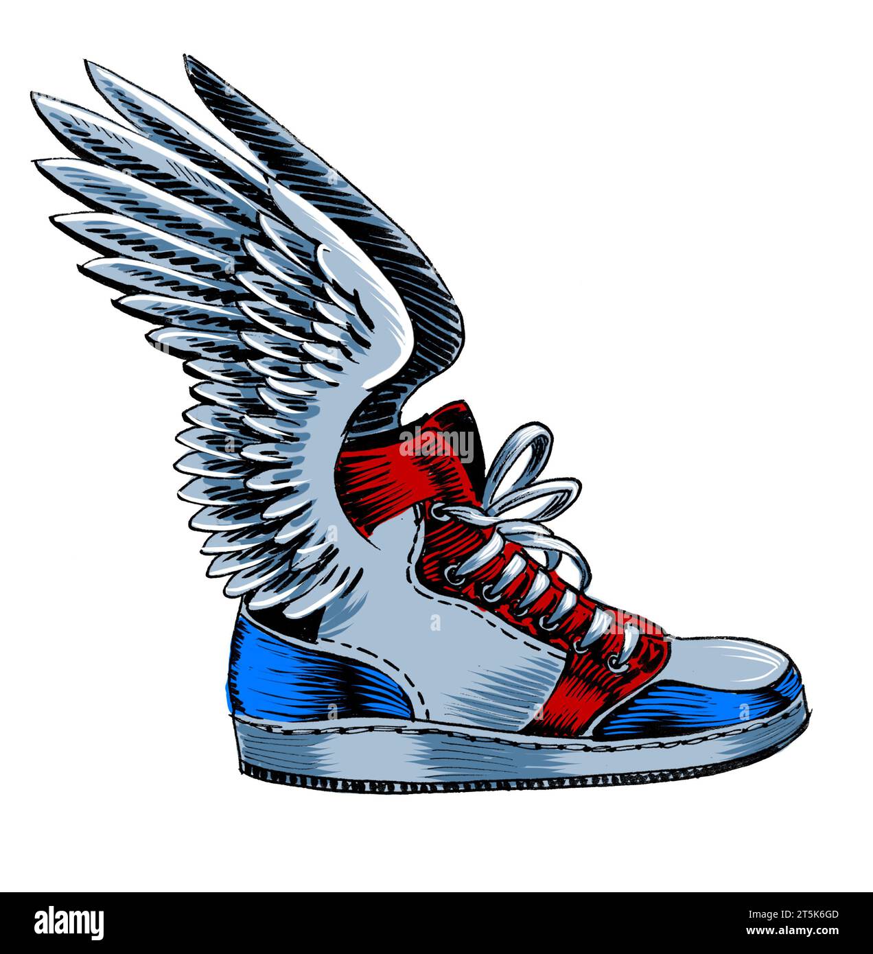 Scarpa alata Immagini senza sfondo e Foto Stock ritagliate Alamy