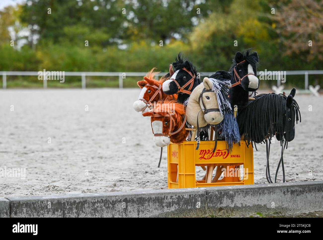 Halle, Germania. 3 novembre 2023. Vari cavalli da hobby aspettano di essere utilizzati in un'arena di equitazione. L'Halle (Saale) Riding Club offre hobbistica. Gli atleti corrono attraverso un percorso di salto ostacoli su cavalli da hobby o eseguono un test di dressage. Gli hobbyhorse possono timido o rifiutarsi di saltare, proprio come i loro grandi modelli di ruolo. Credito: Patricia Bartos/dpa/Alamy Live News Foto Stock